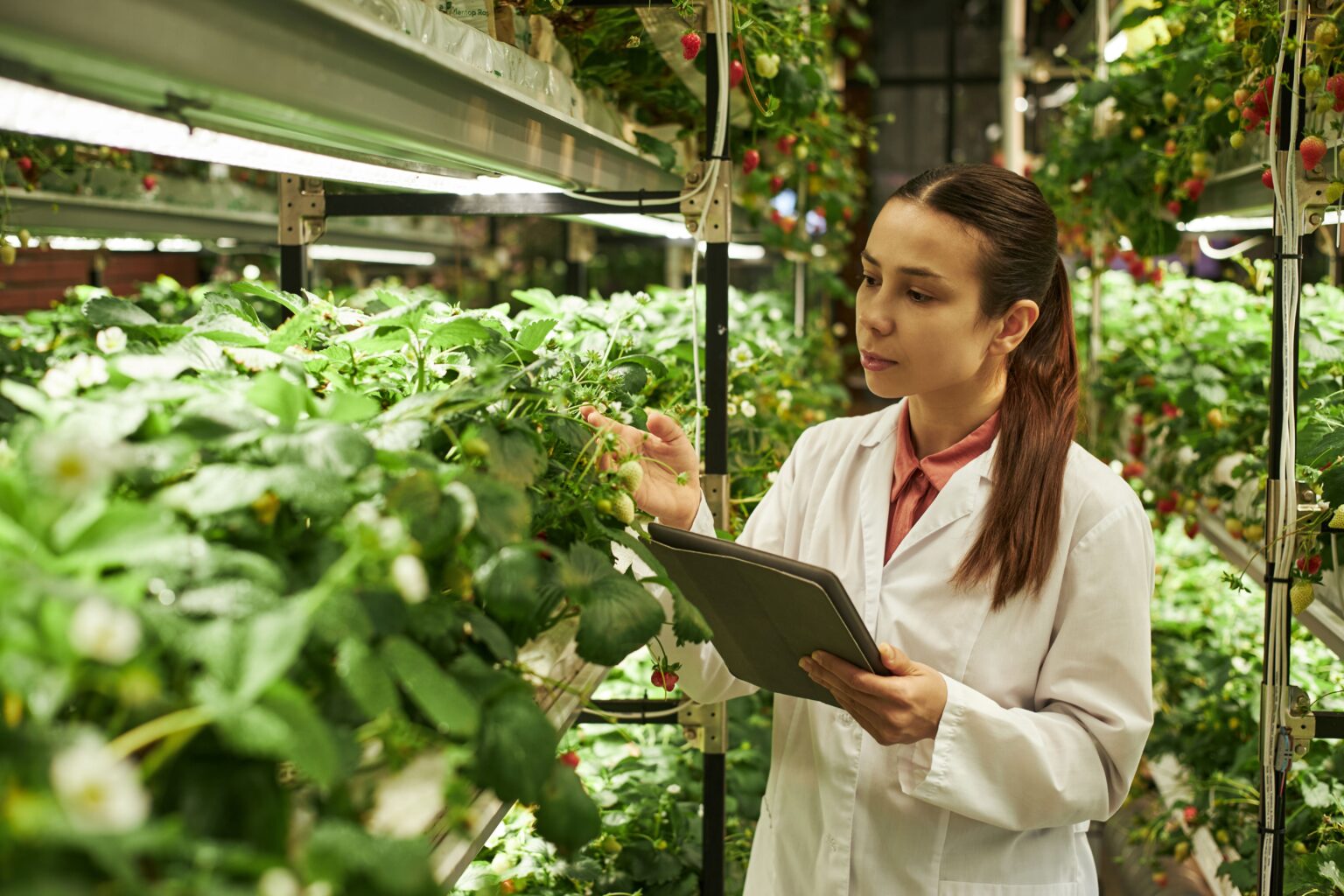 A woman in a laboratory